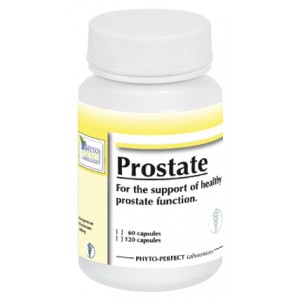 Prostate